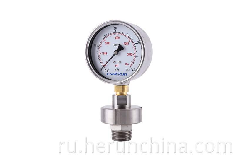 Stainless Steel Pressure Gauge